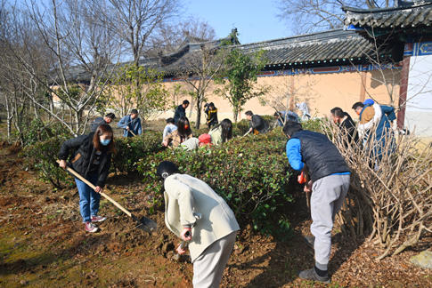 web黨員、團員共同線下植樹.jpg